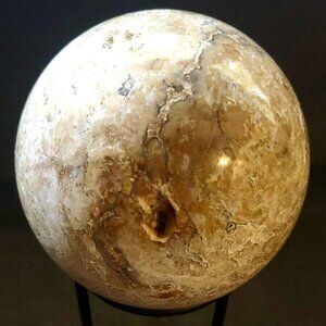 Sphere of Petrified Palm Limb Casting, Comes With Stand